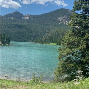 Meet your Posher, Kaylee